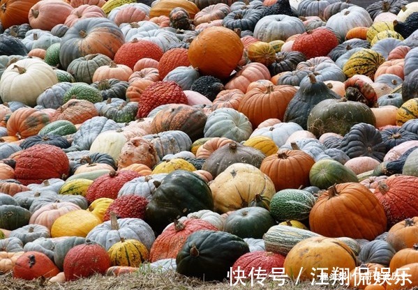 西兰花|纯天然的“叶酸”,准妈妈隔三差五吃,“药补”还是不如“食补”