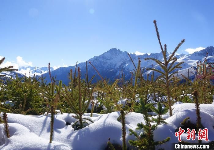 冉文娟|邂逅德玛雪山 感受白色浪漫