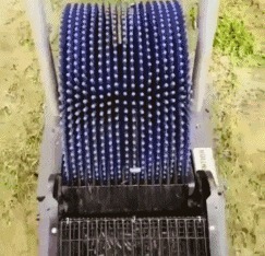 |搞笑GIF趣图：和同事打赌谁输了，谁去老板办公室向老板女儿表白