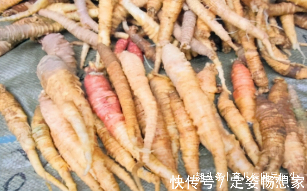 小黄瓜|聪明女性养生,吃养生食物,调理肠胃,健脾开胃,滋养身心