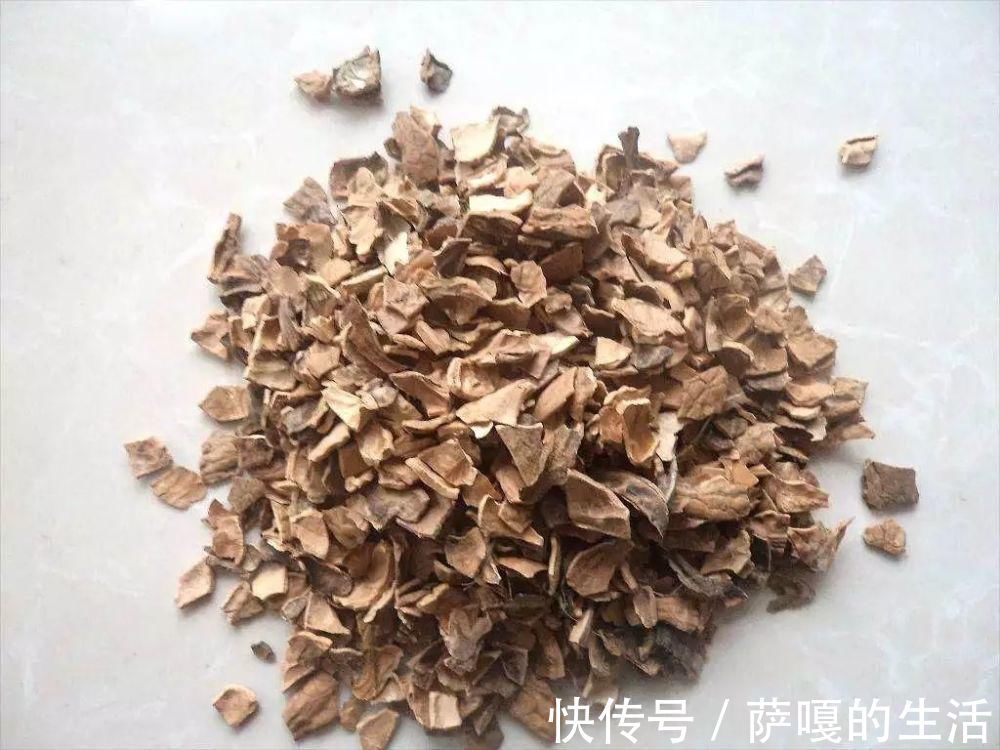 发酵|老花匠：扔4种“东西”，就是扔钱，比花肥还好用，不花钱！