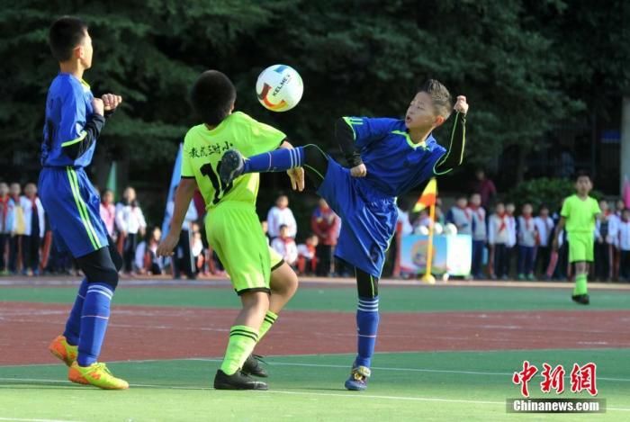 校园足球|2021年教育部认定全国青少年校园足球特色学校2038所