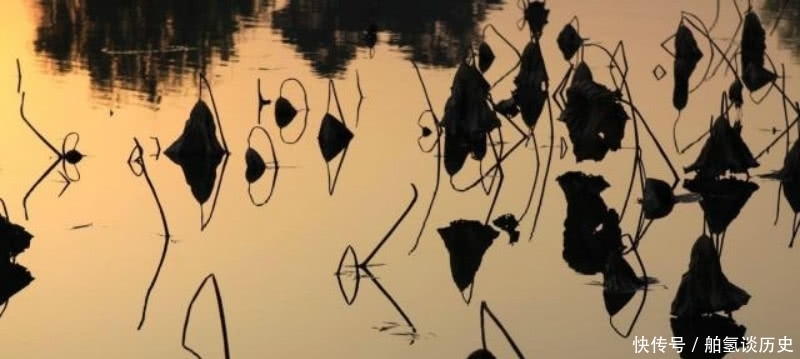 杨万里傍晚时分出门散步,信手拈来写下一首诗,充满了诗情画意!