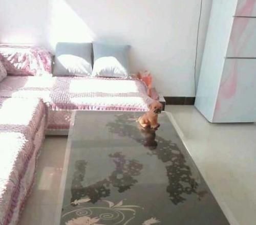 婚房|晒晒我的农村婚房，院子种菜，卧室没床，但比住大别墅还舒服！