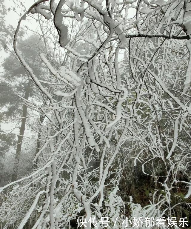 贵州|快看！贵州黔东南雷公山上处处银装素裹，风景美翻了……