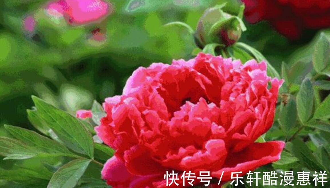 9月16什么星座是什么