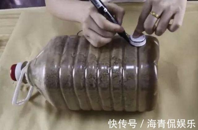 什么塑料瓶、花盆,也不如1种“空油桶”,1桶种下20个大蒜,够吃