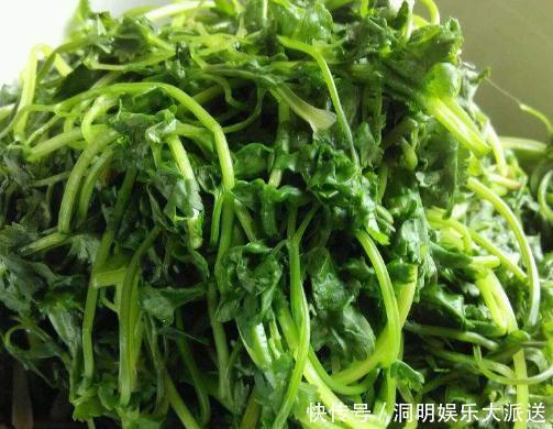 新鲜|香菜吃不完,婆婆用这种方法保存,香菜新鲜脆嫩,放一年都不会坏