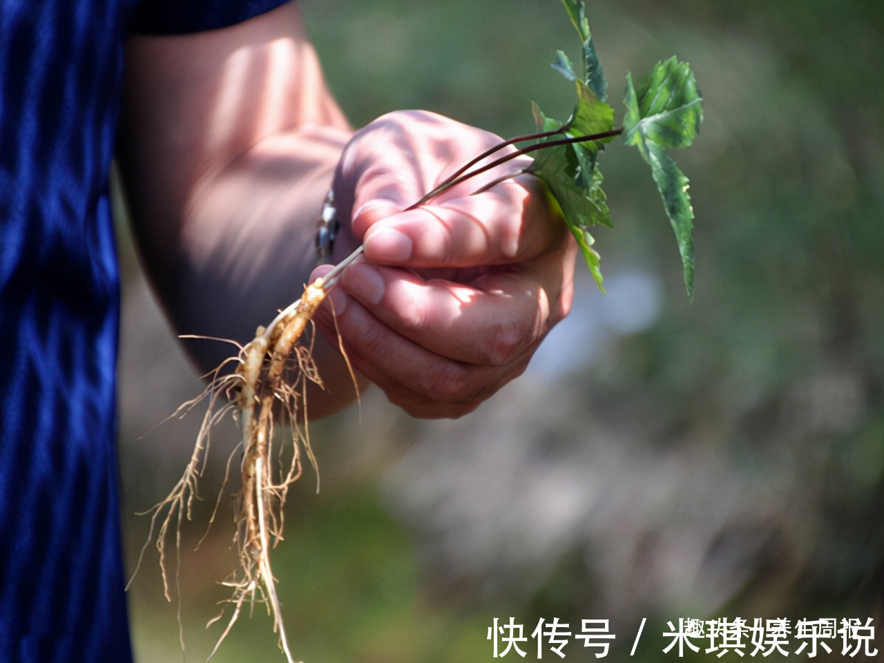 研究癌症60年，92岁孙院士提醒三大致癌习惯，很多人都有