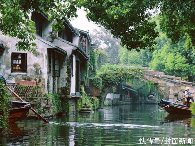  草堂读诗丨朗诵：草树《遗嘱附言》《雨后》