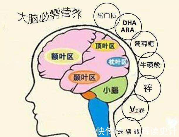 发育|孕妇吃水果促进胎儿大脑发育,但这几种水果最好避开,对宝宝不利