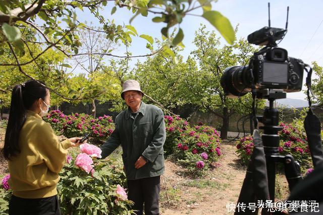 山西7旬老农10亩牡丹扔掉40年，现今坐在地头收门票，看美成啥样