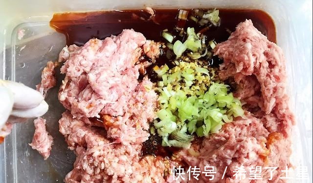 五香粉|朋友来我家点名要吃这馅的包子,肉馅鲜香软嫩,皮薄馅大!