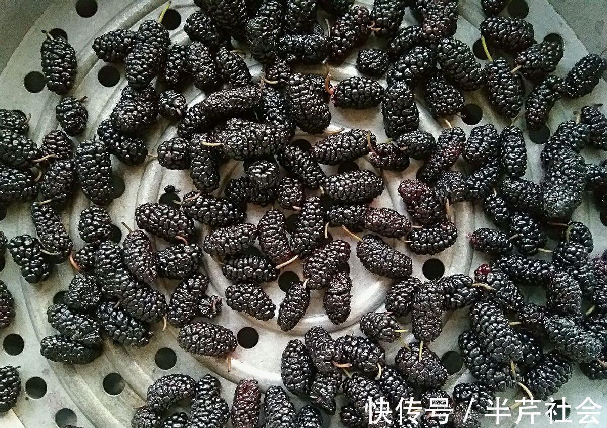 桑葚酒|别总去染发了,白头发的人多吃此果酒,坚持半个月,头发乌黑发亮