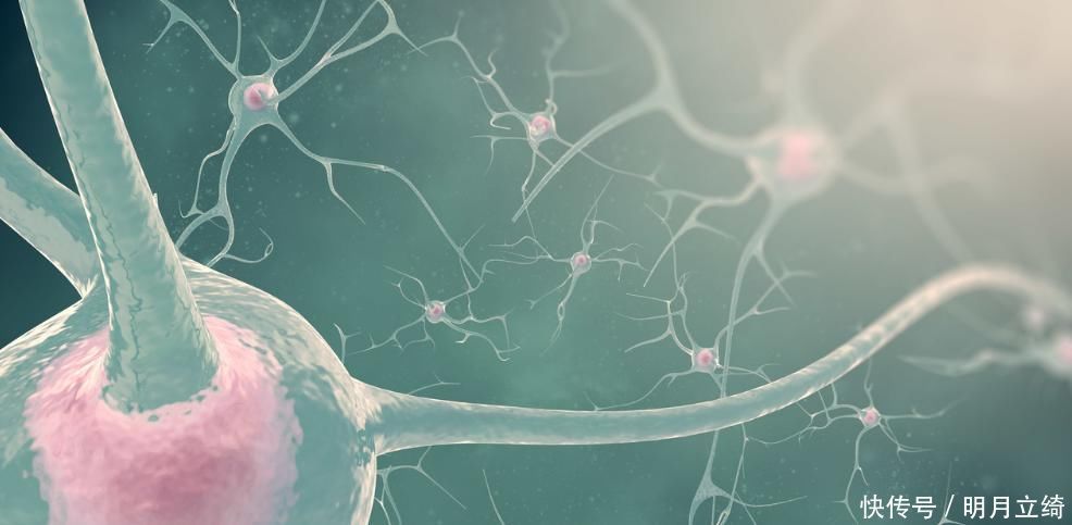 科学|怎样做才算科学养生?百岁长寿老人给出的4个建议,让你受益匪浅