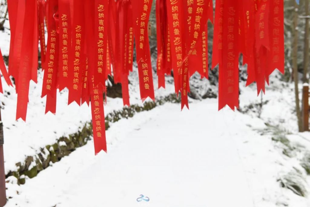 县区|初雪！周边县区雪景美图来袭！