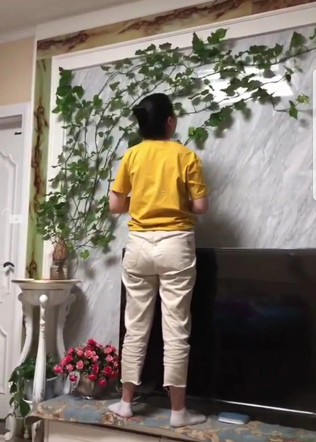 玉米棒子插盆里,7天冒出小森林,比绿萝吊兰好看