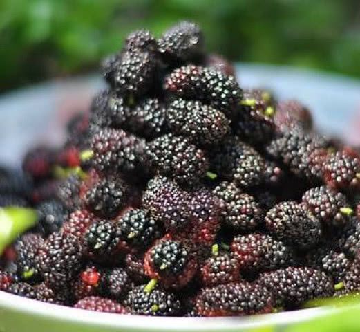 黄体酮|天然的“黄体酮”找到了，女人经常吃一点，调理乳腺远离增生