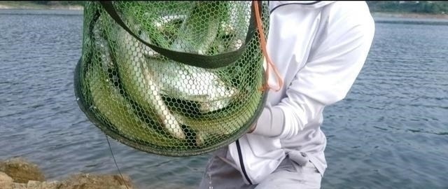 钓翘嘴知道这些，会让你收获满满，钓的非常过瘾