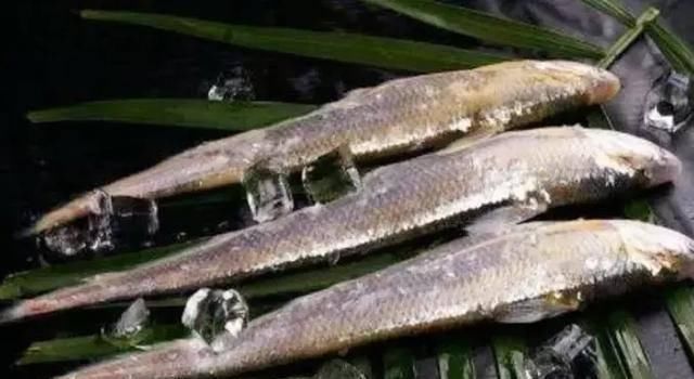 国内最好吃的淡水鱼,中年人也许听过吃过,90后都不懂
