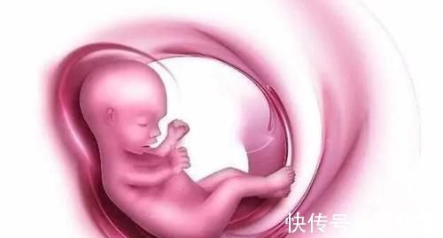 流产|怀孕1~10个月,胎儿发育变化全过程!想“修炼成人”还得过四关