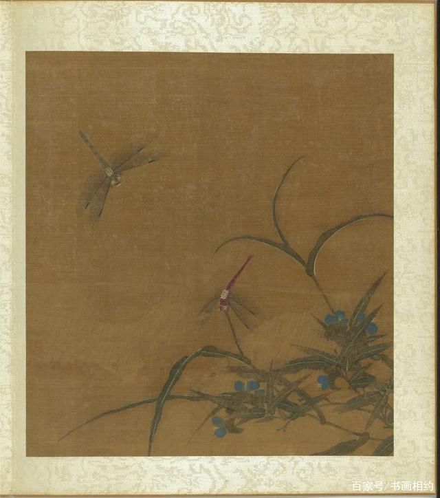 写生花卉册!赏画|王渊《写生花卉册》之鸭跖草