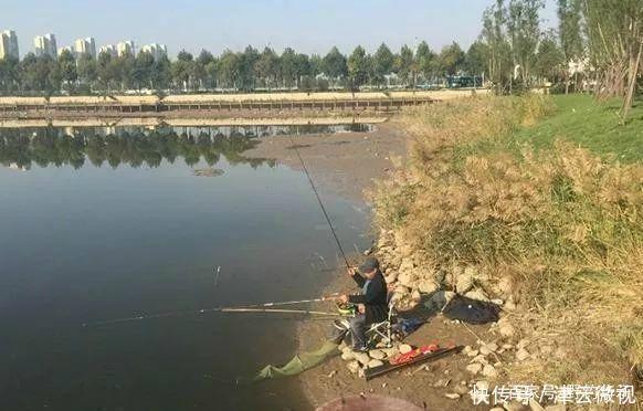 钓鲫鱼就用这“3招”,别不信,一定比之前钓的多