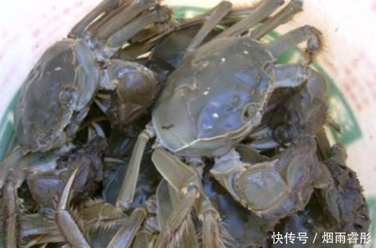 腹部|蒸螃蟹,用冷水还是热水?老渔民教你一招,不掉腿不流黄,没腥味