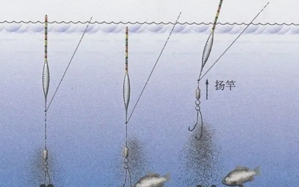 钓鱼高手们的3大找口“秘诀”,是提高鱼获的关键,一般人还真不知道!