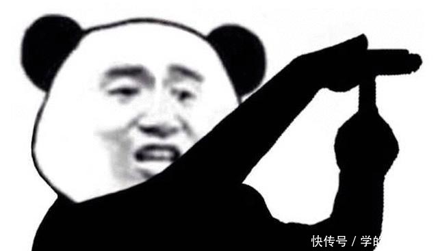 没时间、没经验的阳台种菜者,统统看过来,台长为你提供解决方案!