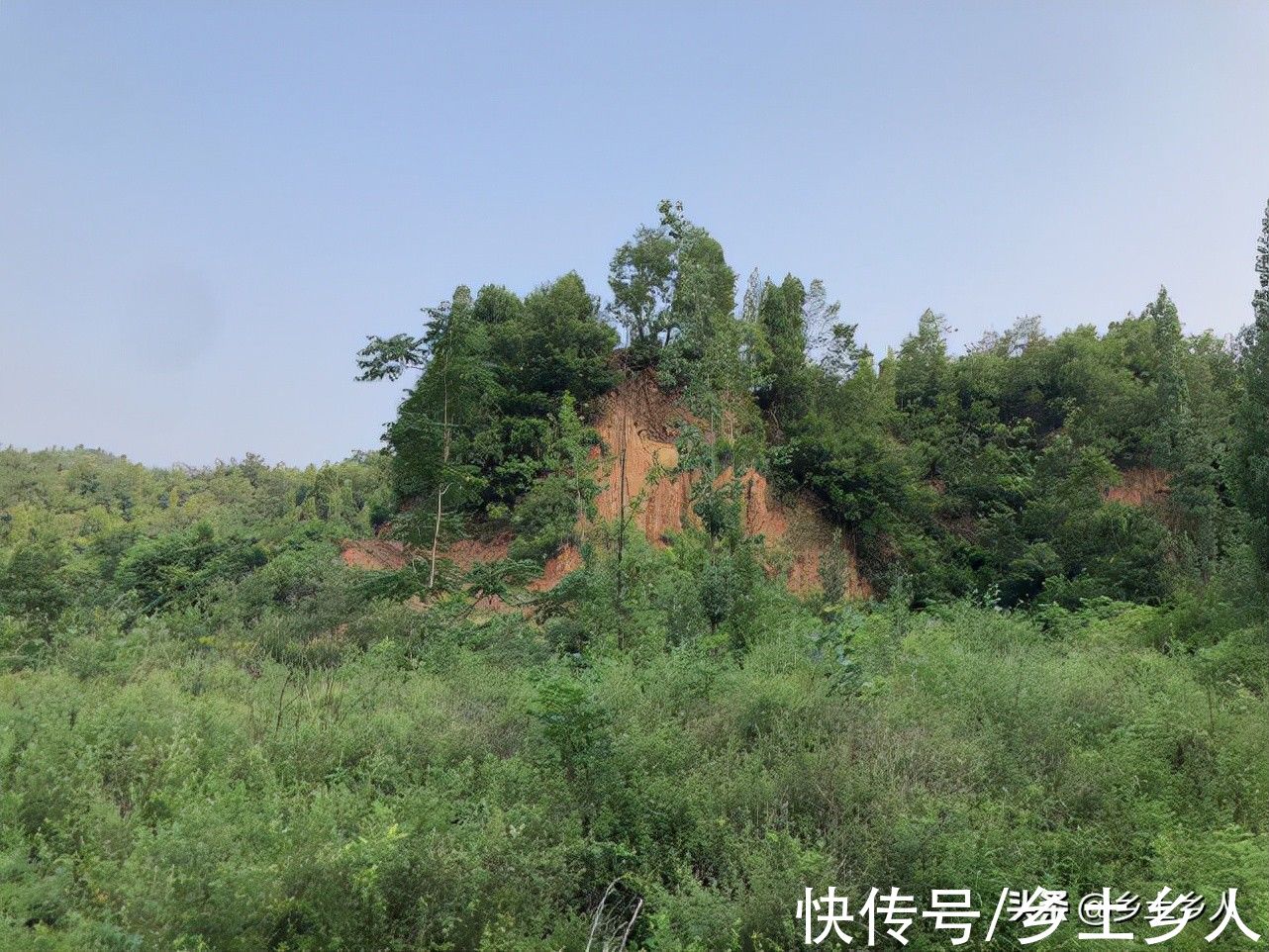 安康|秋分将至,老话说:“秋分一碗汤,四季好安康”,指的是什么汤?