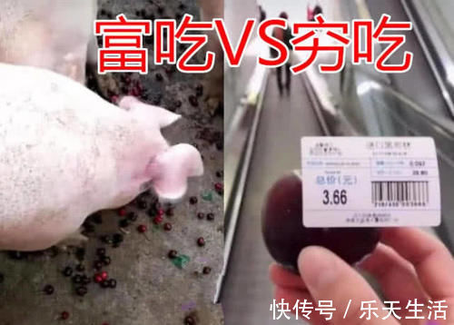 泡面|富吃VS穷吃，忍了冰激凌，忍了泡面，看见车厘子猪狗不如