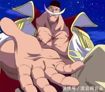 刘索隆|海贼王10大搞笑梗,索隆一人占四个,四皇占三个!