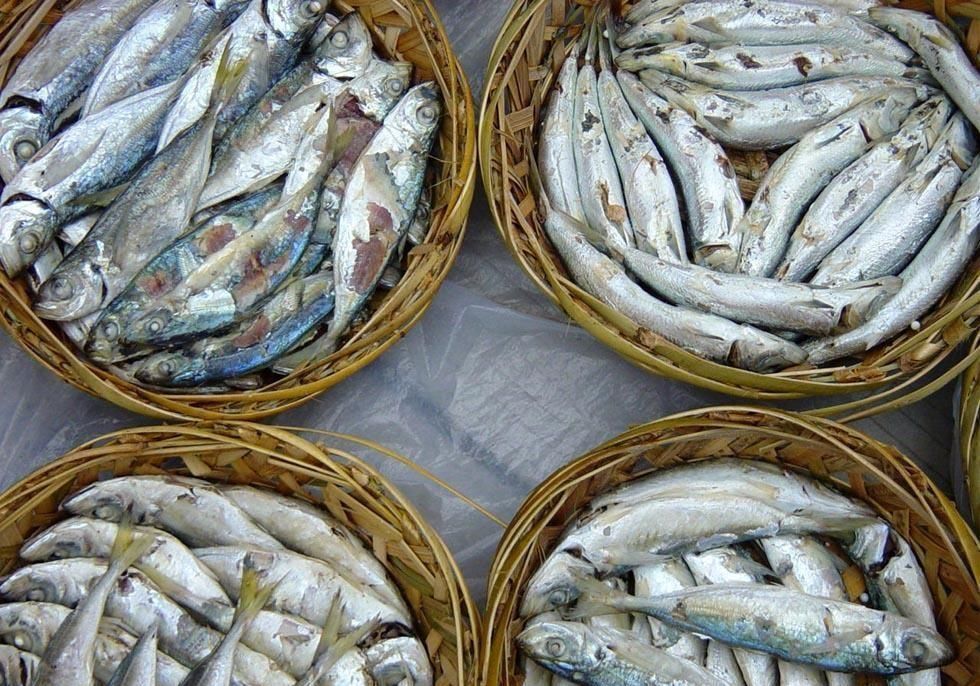 做好|黄鱼饭,鱼很嫩,饭很香,但要做好,是有讲究的