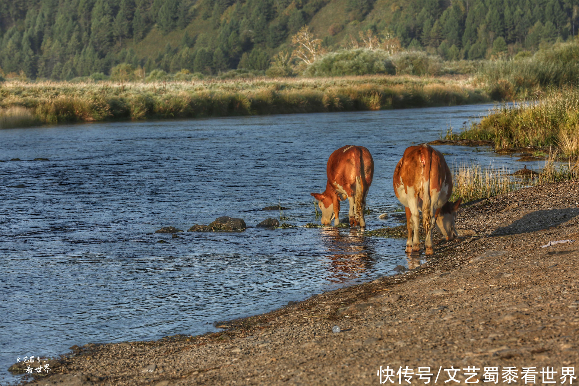 阿木古郎|中国有一条独一无二的河流，流域美如画，流出国境最后又转了回来