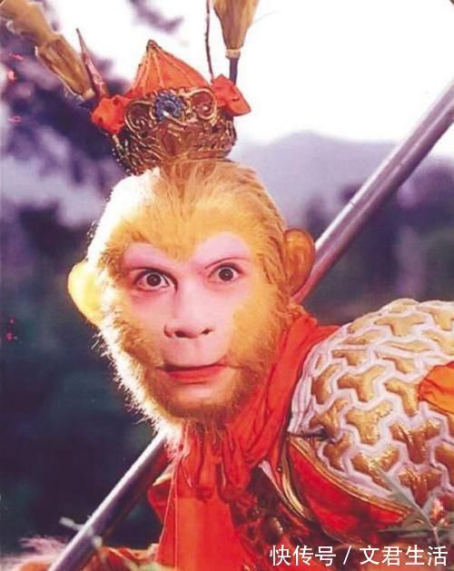 导演$西游记唐僧娶了女首富,孙悟空娶了导演,八戒才是最大人生赢家