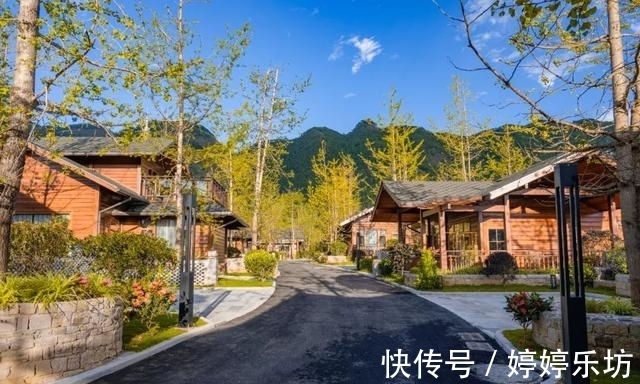 滇西|银杏村悬崖酒店丨徜徉在大滇西环线游唯美之秋，住悠然半山酒店