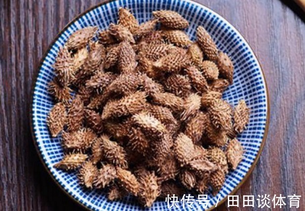 春天粘在衣服上的“小刺猬”，遇到摘回家，收获3大功效