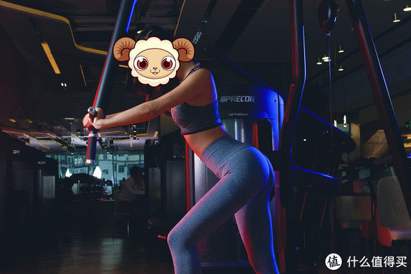 背阔肌|百元内最高效划算减肥、燃脂、塑身器械推介，瘦起来效果挡不住（动图多慎重）