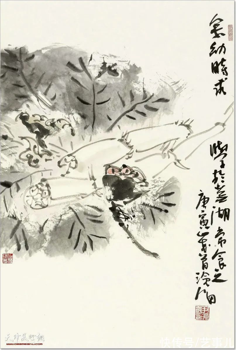 库尔勒!尹沧海教授荷花水禽作品欣赏:笔意简率自由 一派天趣自成