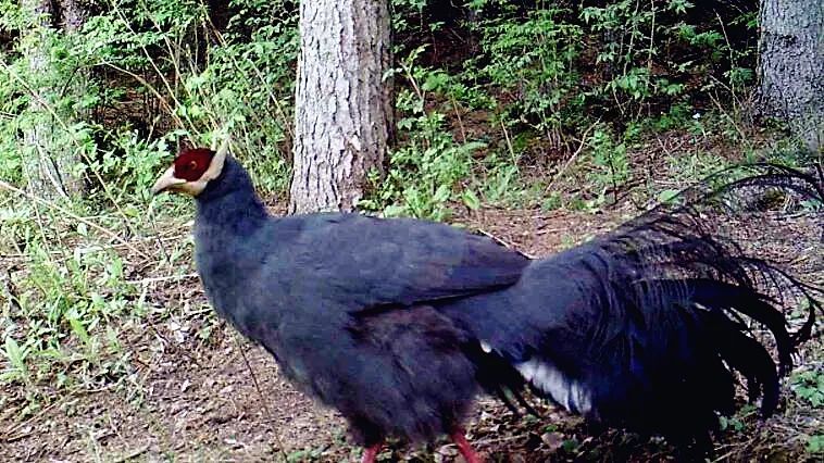 穿衣搭配|还在为穿衣搭配发愁？让“时尚达人”给你一些新思路