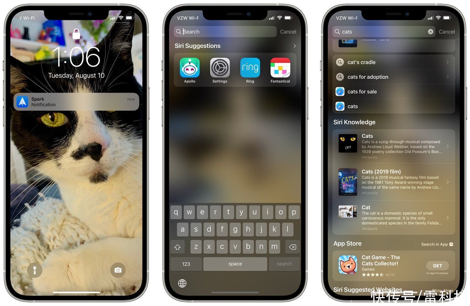 谷歌|比安卓做得更好，iOS 15通用搜索功能这么牛逼？