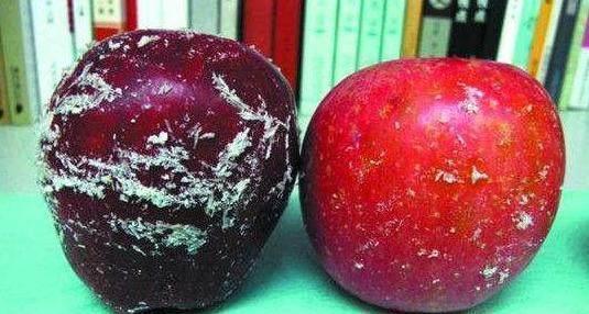 肠胃|睡觉前吃苹果积累毒素营养师告诉你两个最适合吃苹果的时间