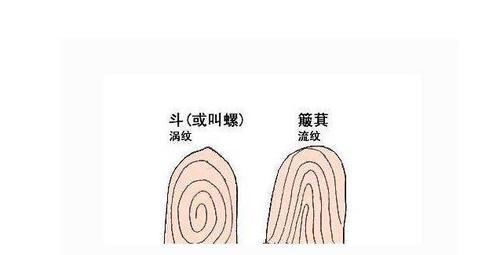  实话|手指上的簸箕与斗跟寿命有关是科学还是迷信医生说出实话