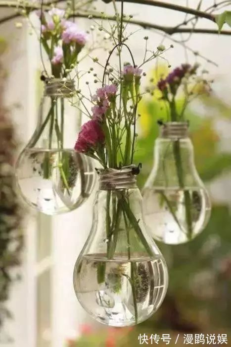 小花|别再花钱买普通花盆了,你意想不到的种花神器!