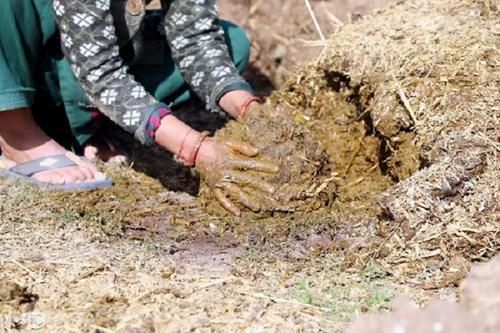 一居民在网上将牛粪饼当蛋糕买回家，后还给商家差评：一点都不脆