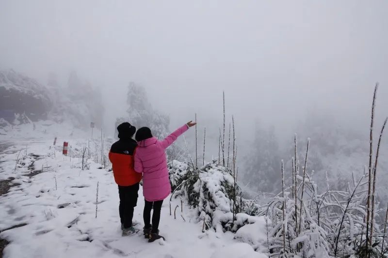 冰雪|绝美雪景！古蔺邀请你来体验“冰雪奇缘”