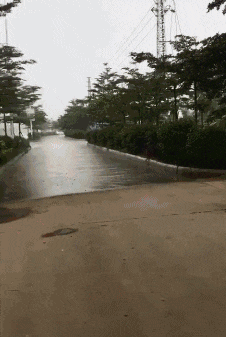 |搞笑GIF：你永远都猜不到 睡着后损友会对你做什么