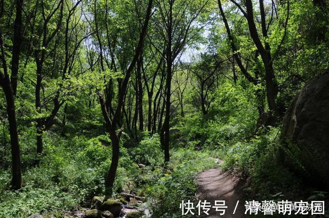 秦岭大山|好诡异！独自徒步空无一人的秦岭大山，突然出现一栋荒废的老屋