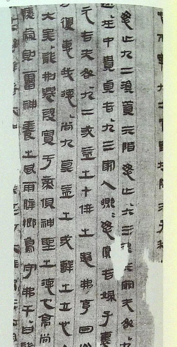 徐明天:文革发现打破了儒家焚书坑儒谎言